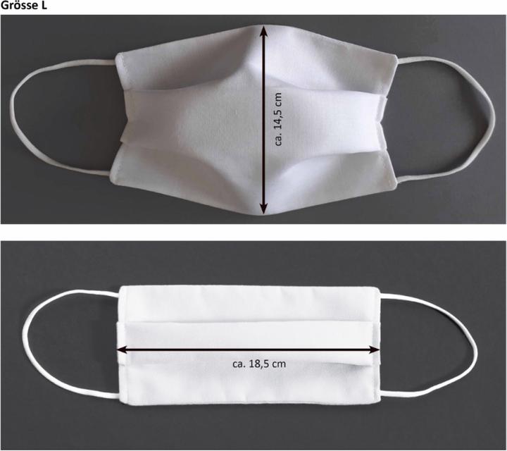 Actual product image Jakob Schlaepfer Testex Community Maske L schwarz (1 x)