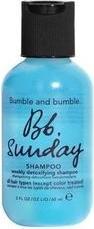 Actual product image Bumble and bumble Mini Sunday Clarifying Shampoo 2 oz (Liquid shampoo)