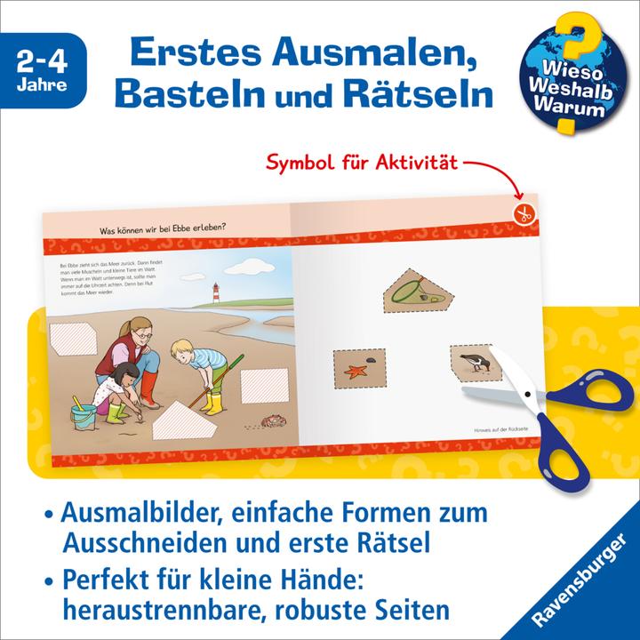 Produktbild Ravensburger Wieso? Weshalb? Warum? junior AKTIV: Am Meer (Deutsch, Yousun Koh, 2023)