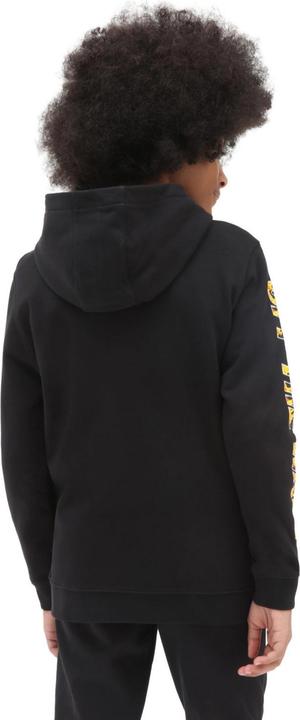 Actual product image Vans Digi Flames Hoodie Kids (L)