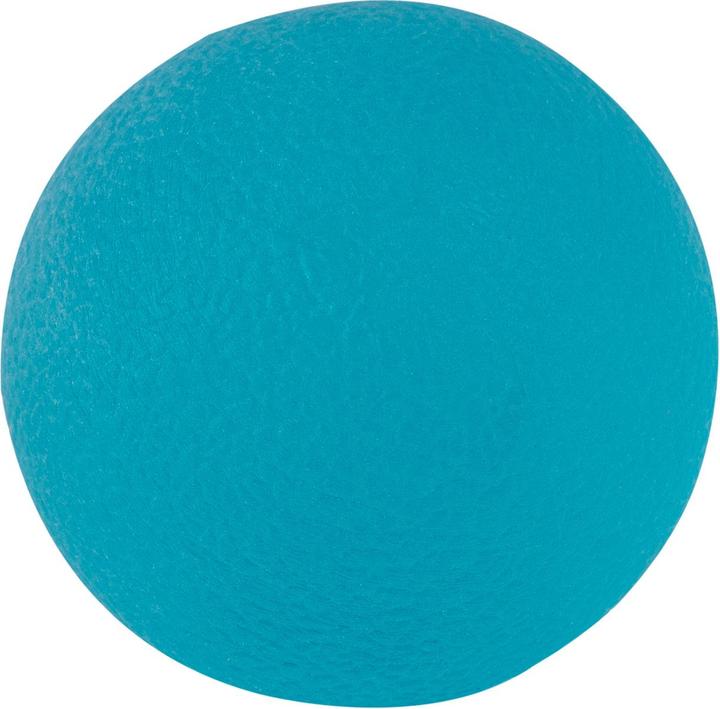 Actual product image Sport-Thieme Hand trainer Physioball