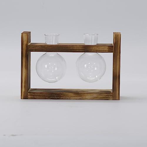 Produktbild Alopini Vermehrungsstation 2 Stück Glühbirne Avocado Vase Glas Eichel Vase Für Blumen Terrarium Jar (2 x)