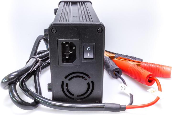 Immagine prodotto Swaytronic Caricabatterie LiFePO 4 29.2V 20A (29.20 V, 20 Ah)