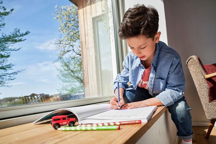 Produktbild STABILO Easycolors L, 12er Etui (Mehrfarbig, 12 x)