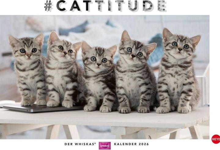 Produktbild Whiskas Katzenkalender 2026 (45 x 30 cm, Harter Einband, Deutsch)