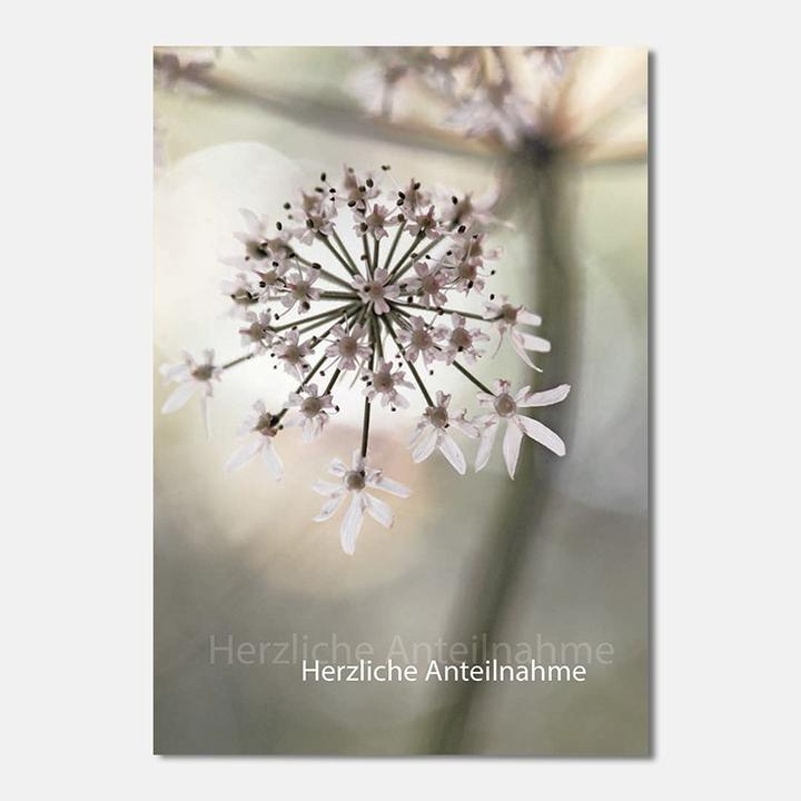 Actual product image Funeral card - chervil flower (1 pcs.)