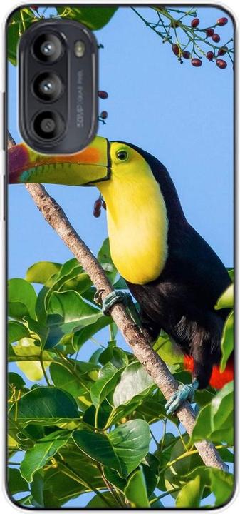 Tucan