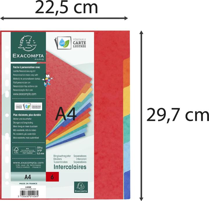 Image du produit Exacompta Intercalaires vierges - carton