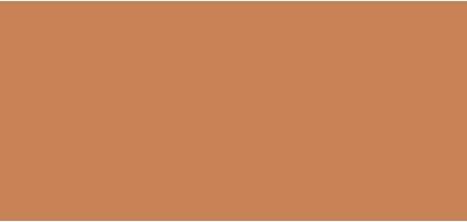 Immagine prodotto MAC Cosmetics Studio Fix Tech Cream-To-Powder Foundation (No. NW33)