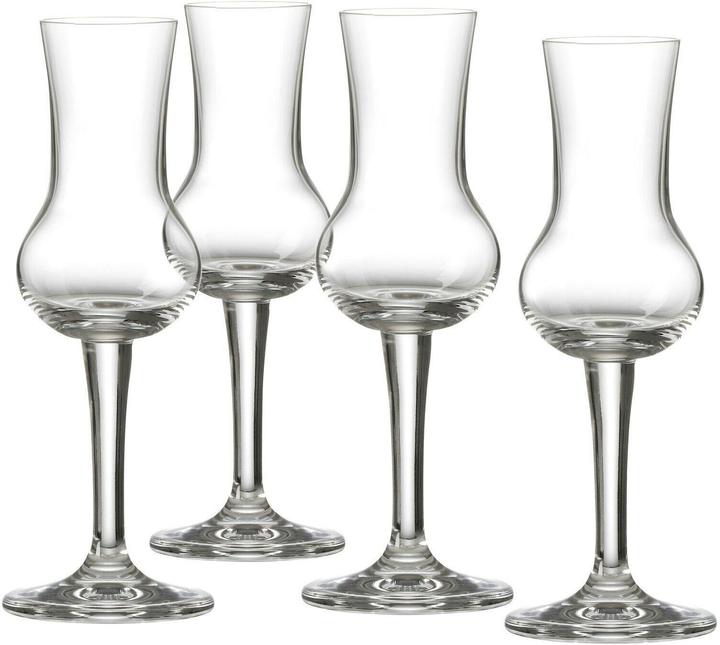 Ritzenhoff & Breker Mambo (0.90 dl, 4 x, Liqueur glasses + grappa glasses)