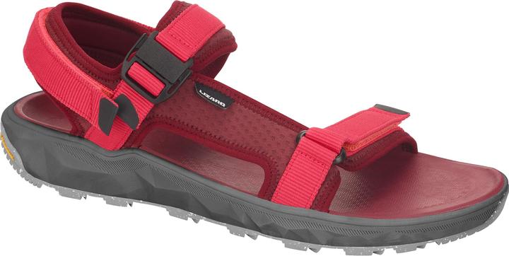 Lizard Super Trek (36)