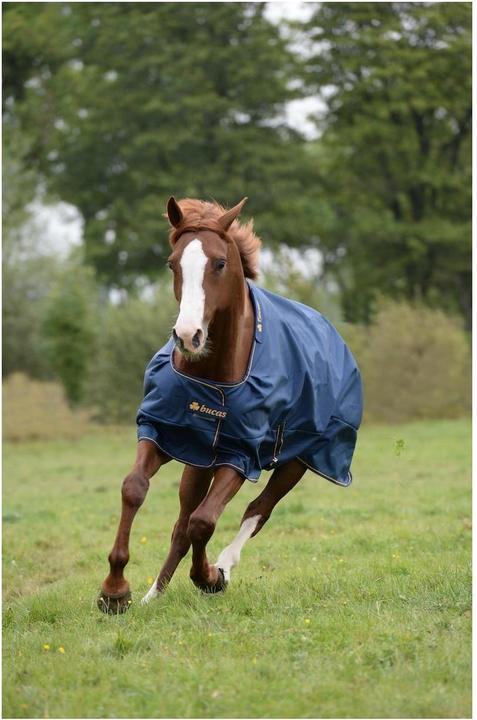 Produktbild Bucas Irish Turnout Light Classic 50g Isolation (165 cm)