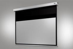 Actual product image Celexon Motor Professional Plus (99", 16:9)