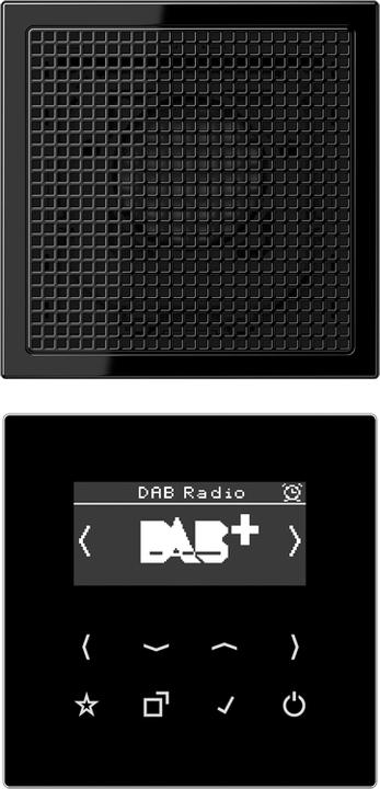 Produktbild JUNG DABLS1SW DAB+ Set Mono (UKW, DAB+, FM)