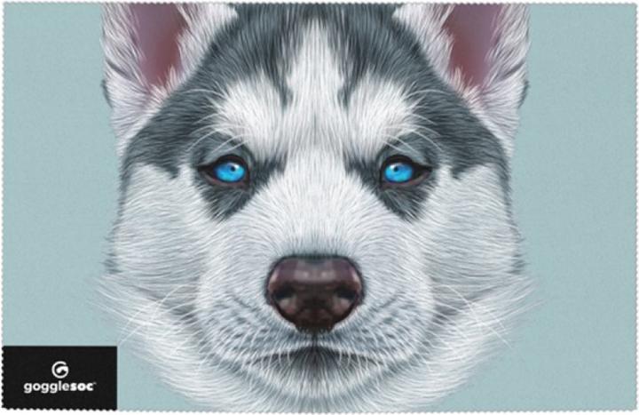 Gogglesoc Husky Swipeout (Ski goggle strap)