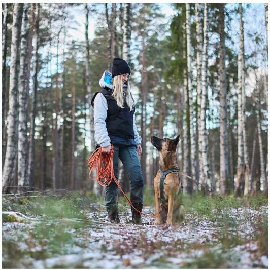Immagine prodotto Non-Stop Dogwear Linea di trascinamento a frizione lunga per cani S (S, Cane, Sport cane)