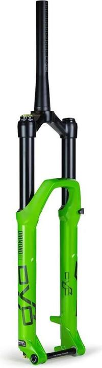 Produktbild DVO Diamond 36 D1 SL Air BOOST Federgabel, 29", 160mm, 44mm, 110x15mm, 28.6-40, PM7, green (160 mm)