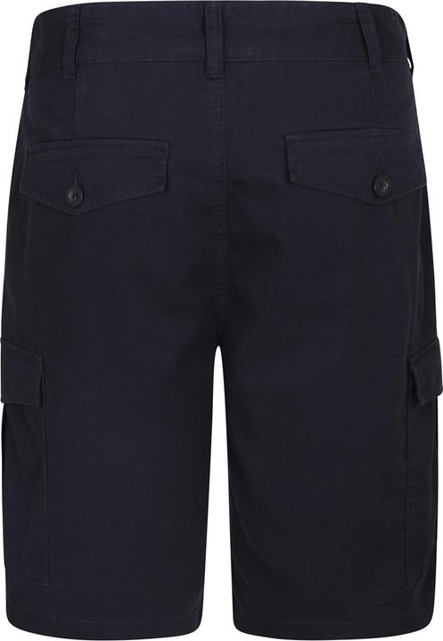 Actual product image Mountain Warehouse Mens Lakeside Cargo Shorts (Frequency band 38 (2600 MHz))