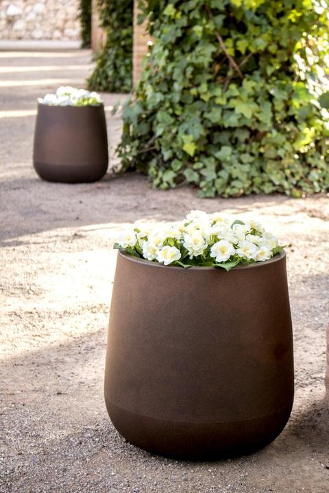 Immagine prodotto Newgarden Camelia 40 (39 cm)