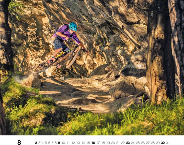 Actual product image Freeride 2026 (German)