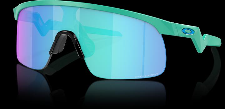 Actual product image Oakley Resistor (Mat Celeste, Prizm Sapphire)