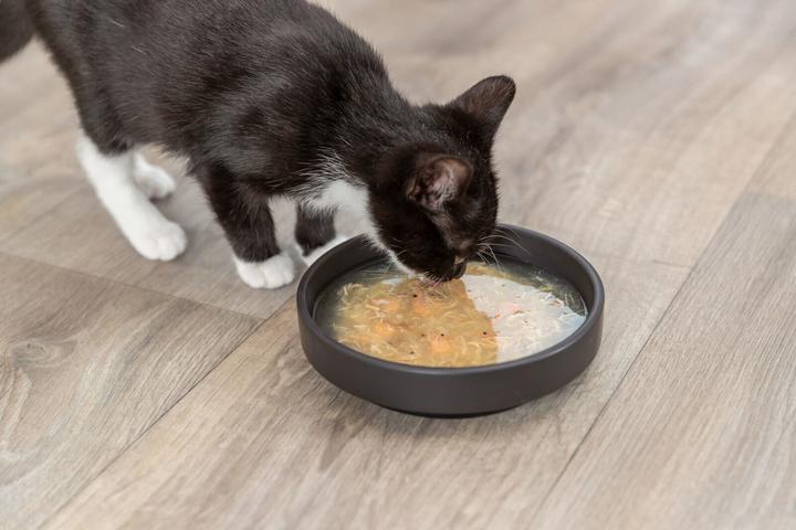 Produktbild Trixie Katzen-Nahrungsergänzung Salmon Soup, Huhn und Lachs, 80 g (Adult, 1 Stk., 80 g)