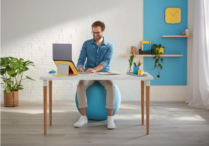 Image du produit Leitz Ballon-siège Ergo Cosy Active (65 cm)