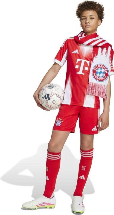 Actual product image adidas FC Bayern München Kinder Shorts (140)