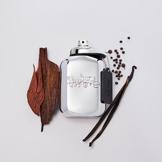 Immagine prodotto Coach Uomini Platino (Eau de parfum, 100 ml)