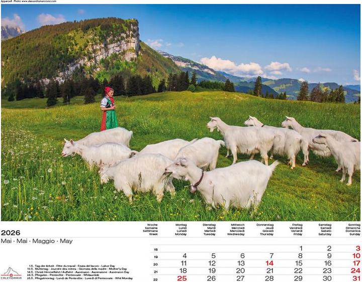Immagine prodotto Schweiz-Suisse-Svizzera-Switzerland 2026 (40 x 31 cm, Copertina rigida, Francese, Tedesco)