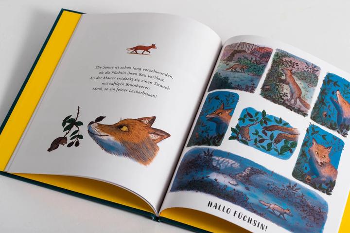 Actual product image Wunder der Natur. Das Gute-Nacht-Buch (German, Rachel Williams, 2022)