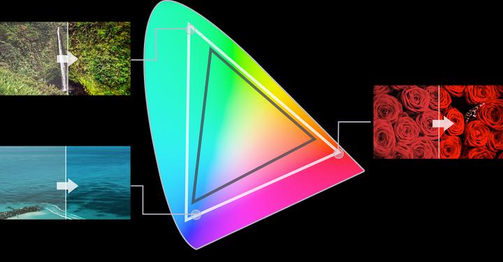 Actual product image Sony KD49XG9005 (49", LCD, 4K, 2019)
