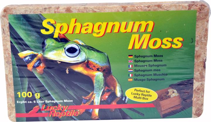 Lucky Reptile Terrarium moss Sphagnum