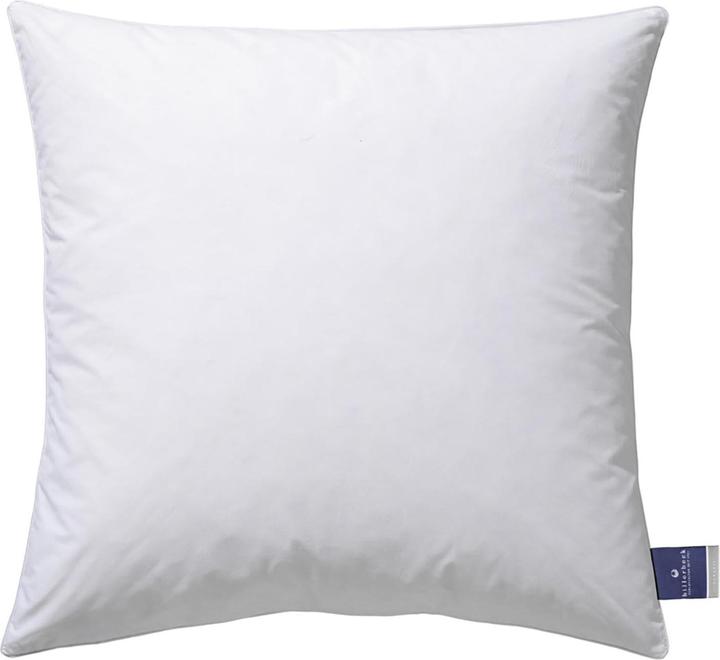 Billerbeck Kissen Ambiente (40x40 cm)