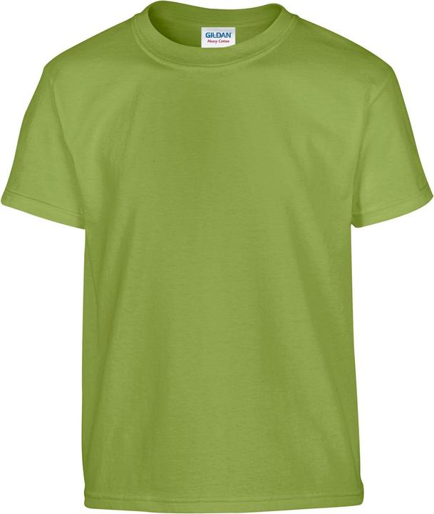 Gildan ChildrensKids Plain Cotton Heavy TShirt