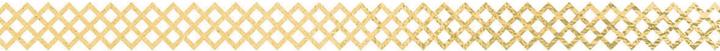 Actual product image Folia Washi decor lace border set