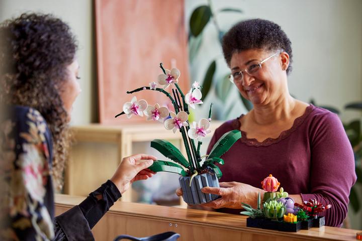 Productafbeelding LEGO Orchidee (10311, LEGO Botanisch)