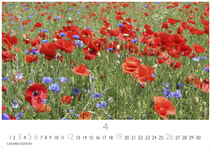 Produktbild Blumenwiese 2026 L 35x50cm (35 x 50 cm, Deutsch)