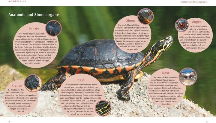 Produktbild Wasserschildkröten (Deutsch, Hartmut Wilke, 2017)