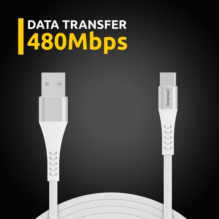Image du produit Intenso USB A - USB type C (1.50 m, USB 2.0, 60 W)