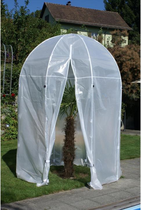 Produktbild Colibri Premium Palmenhaus