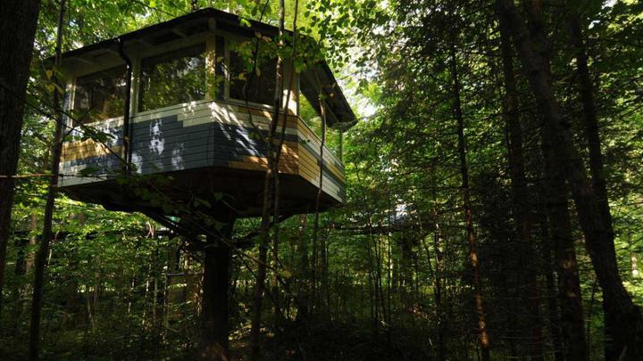 Image du produit Nuitée dans une cabane dans les arbres (2 pers.)