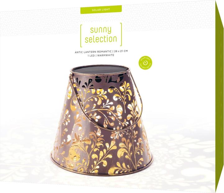 Actual product image STT Antic Romantic