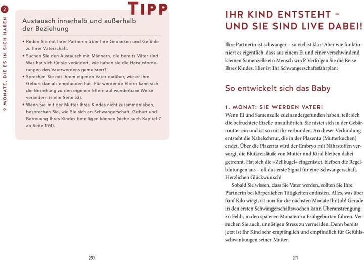 Produktbild Das Papa-Handbuch (Deutsch, Robert Richter, 2020)