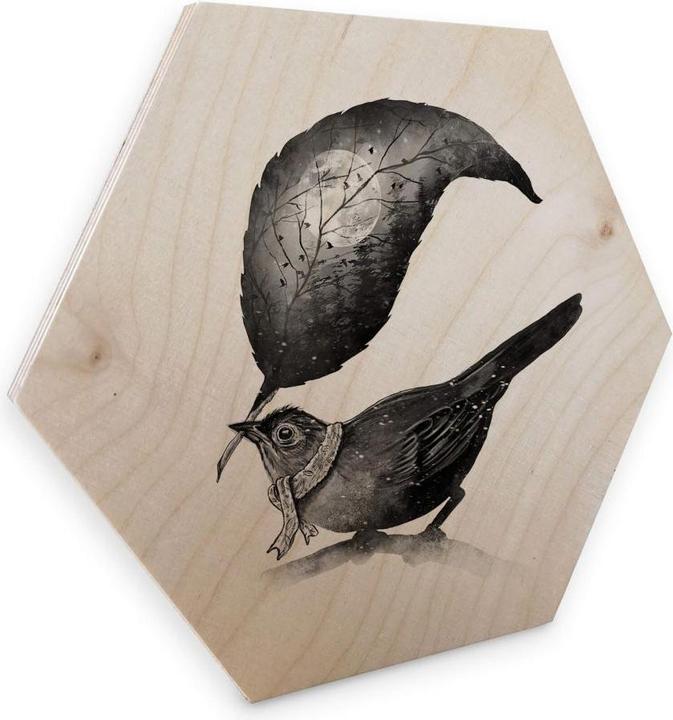 Image du produit Trenddeko The Messenger (35 x 30 cm)