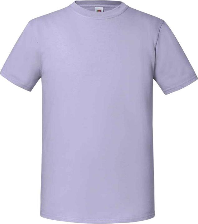 Fruit of the Loom Premium TShirt (L)