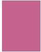 Immagine prodotto NYX Professional Make-Up Abbigliamento epico (19 Spirito Rosa)