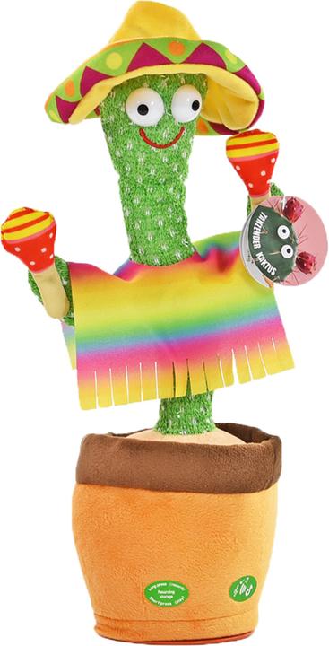 Kögler Dancing cactus (32 cm)