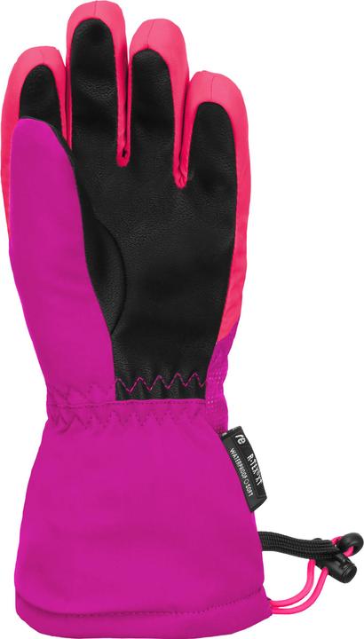 Image du produit Reusch Maxi R-TEX XT (3)