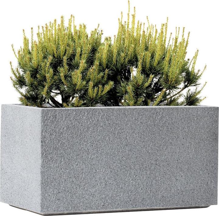 Immagine prodotto Kirschke Rockline (44 cm)
